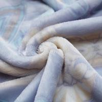 富安娜（fuanna） 朝歌 法兰绒毯 毯子 180*200cm 蓝色（单位：条）