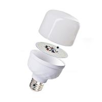 贝工  BG-QP135T/45W  LED灯泡  120*210mm （单位：个) 白光