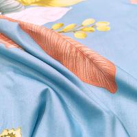 奥特佳（ORTEGA） 001-010093 斜纹纯棉四件套 被套200*230cm*1+床单245*245cm*1+枕套45*72cm*2(单位：套) 蓝色