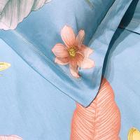 奥特佳（ORTEGA） 001-010093 斜纹纯棉四件套 被套200*230cm*1+床单245*245cm*1+枕套45*72cm*2(单位：套) 蓝色