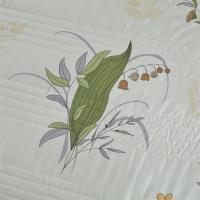 啄木鸟 夏凉被-清风吟 ZMN-XB033B 180*200cm (单位:条) 绿色