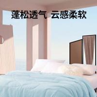 金丝莉（KINTHERI） YLH-1519191 冰爽雅韵被 150×210cm 凉感布 聚酯纤维（单位：床）淡蓝色