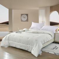 萱遇家纺 H-D0903 优选零压恒温被 200*230cm 颜色随机 （单位:床）