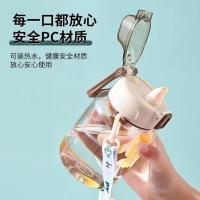 百斯克 BSK-9095  缤纷弹跳盖吸嘴杯 650ml （单位：个）颜色随机