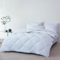 梦洁家纺 1010289628AM039 羽丝绒双人春秋大被 200*230cm 1000g （单位：条）