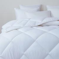 梦洁家纺 1010289628AM039 羽丝绒双人春秋大被 200*230cm 1000g （单位：条）