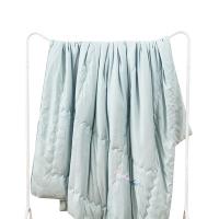 金丝莉（KINTHERI） JB-12289 雅致润肤被 200*230cm (单位:床) 浅蓝