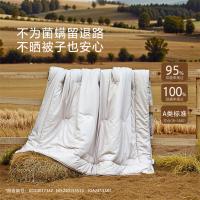 水星家纺（MERCURY） 548455 柯拉德澳洲羊毛冬被 200*230cm （单位：床）