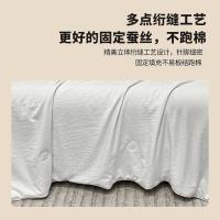 奥特佳（ORTEGA） 001-020205 提花蚕丝被 150*200cm(单位：床) 白色