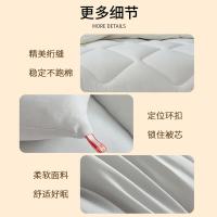 恒源祥（HYX）HYX270BZ 水洗磨毛抗菌被 150*200cm（单位：条）浅灰