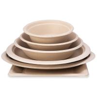 妙洁（MIAOJIE） MDAA10 一次性圆形纸盘 16cm 10只/包(单位：包)