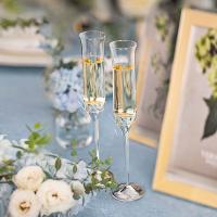 WEDGWOOD 54735805748 香槟杯 高27cm直径4.5cm（单位：对）