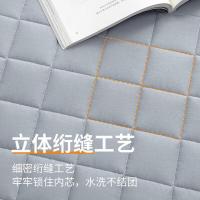 南极人（NanJiren） 抗菌软垫 四季透气 150*200cm (单位:个) 批次不同绗缝不同