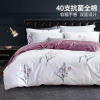 梦洁家纺 1010189020 抗菌纯棉四件套 被套200x230cm 床单230x250cm 枕套48x74cm 梦夜百合 (单位:套)