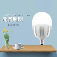 欧普照明（OPPLE） A170-100W-E27-6500K 灯泡 100W（单位：个）