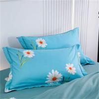 奥特佳（ORTEGA） 001-010143 铂金凯丽纯棉四件套 被套200*230cm  床单250*250cm  枕套47*75cm*2 (单位: 套)拼色带花