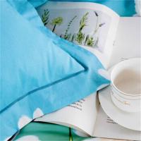 奥特佳（ORTEGA） 001-010143 铂金凯丽纯棉四件套 被套200*230cm  床单250*250cm  枕套47*75cm*2 (单位: 套)拼色带花