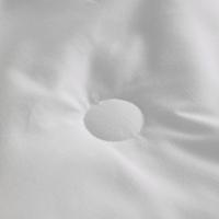 艾逸瑶选 JF-24147 格兰芬亲肤纤维棉四季被 200x230cm（单位：床）包装随机