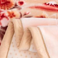 奥特佳（ORTEGA） JF070095 拉舍尔加厚毛毯 200*220cm（单位：条）