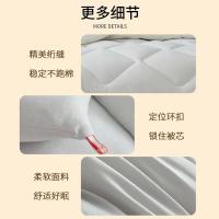 恒源祥（HYX） HYX273BZ 抗菌被 规格：200*230cm面料：100%聚酯纤维  （75g水洗磨毛涤）填充：100%聚酯纤维填充重量：2310g总重：6斤 (单位：条) 奶白