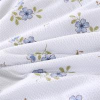 悠梦嘉居YB-14211 A类有氧负离子被180*200CM(单位：条)