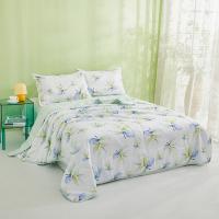 恒源祥（HYX） HYX312BZ 雅致叶绿A类抗菌柔软夏凉被 160*210cm （单位：床）