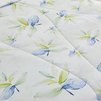 恒源祥（HYX） HYX312BZ 雅致叶绿A类抗菌柔软夏凉被 160*210cm （单位：床）