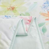恒源祥（HYX） A类抗菌柔软夏凉被 花开静好  HLHYX311BZ 200*230cm (单位:条)
