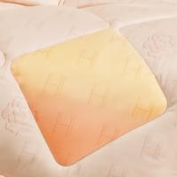 恒源祥（HYX） 恒暖纤维春秋被 HLHYX628BZ 200*230cm (单位:条)