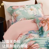 恒源祥（HYX） HYX314TJ 火山绒四件套 床品套件 被套200*230cm*1+床单230*245cm*1+枕套48*74cm*2 200*230cm 小油画（单位：套）