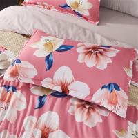 艾逸瑶选JF-24119奥利弗瑞恩磨毛四件套 床单230x245cm被套200x230cm枕套48x74cm*2（单位：套）