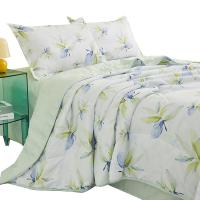 恒源祥（HYX）HYX313BZ 雅致叶绿A类抗菌柔软夏凉被  200*230cm （单位：条）