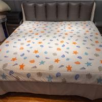 金丝莉（KINTHERI） LC-9527 阿那亚海岸云丝被 规格150×210cm （单位：床）