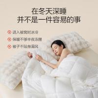 京东京造爱斯基摩雪屋被 6.4clo极致保暖雪绒毛球纤维加厚被子冬季2x2.3m（单位：条）