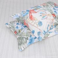 富安娜（fuanna） 抗菌磨毛床上四件套 彩韵芳华 被套203*229cm床单230*240cm枕套74*48cm*2 (单位:套)