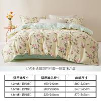 水星家纺（MERCURY） 新夏沫之晨 床上四件套 枕套48*74cm*2 被套220*240cm 床单270*245cm（单位：套）