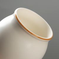 苏氏陶瓷（SUSHI CERAMICS）J0046茶叶罐脂白简约密封罐陶瓷储物罐之茶具配件(单位：个)
