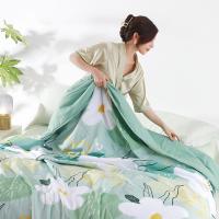恒源祥（HYX） HYX182BZ-DZ 夏晓柔软夏凉被 160*210cm (单位:条)