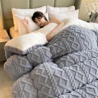璞莉丝 PLS-B107 加厚保暖塔芙绒冬羊羔绒被 200*230cm 8斤 （单位：条） 颜色随机发货