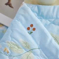 彼加曼 BGM-B2505 蓝底花植物磨绒防螨被 180*210cm (单位: 条)