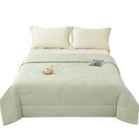 大嘴猴（Paul Frank） PFFCS250015U 水洗被 150ｘ210cm/900g（单位：床）