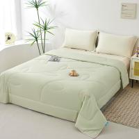 大嘴猴（Paul Frank） PFFCS250015U 水洗被 150ｘ210cm/900g（单位：床）
