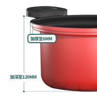 都市太太（DStt） DSWYG 微压焖烧锅 直径22cm（单位：套）