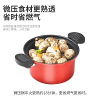 都市太太（DStt） DSWYG 微压焖烧锅 直径22cm（单位：套）