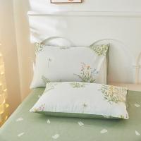 红蜻蜓 HQT-1027DZ 四件套 被套200*230cm*1     床单230*245cm*1   枕套48*74cm*2 （单位:套） 春光绿叶