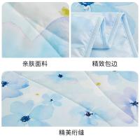 恒源祥（HYX） 兰颜 A类抗菌柔软夏凉被 200*230cm（单位：床）