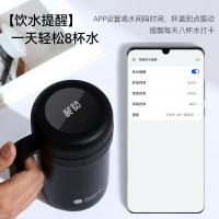 富光（FUGUANG） 显温高档大容量 保温杯 580ml 曜石黑（单位：个）
