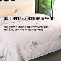 雅鹿 100%羊毛 加厚保暖秋冬被子被芯冬被 6斤200*230cm（单位：条）白色