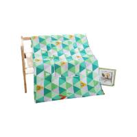 啄木鸟 ZMN-BZB-02 多功能抱枕被 被子110*150cm 抱枕40*40cm (单位:条)
