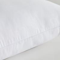 罗莱家纺（LUOLAI） 安睡对枕 防螨抗菌 47*73cm*2 (单位:对)